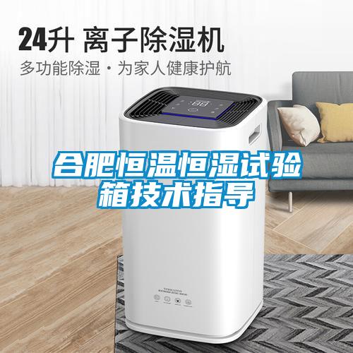 合肥恒溫恒濕試驗(yàn)箱技術(shù)指導(dǎo)