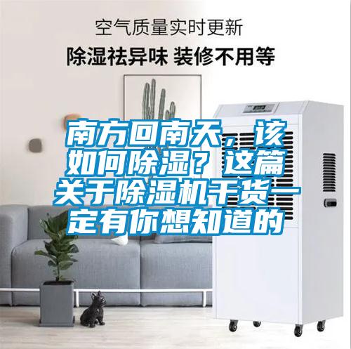 南方回南天，該如何除濕？這篇關(guān)于除濕機(jī)干貨一定有你想知道的