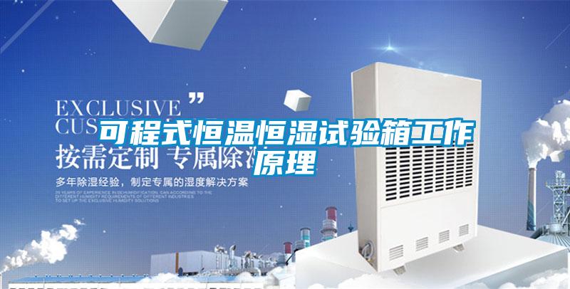 可程式恒溫恒濕試驗箱工作原理
