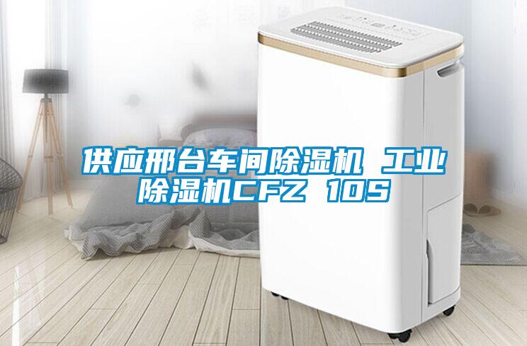 供應(yīng)邢臺車間除濕機 工業(yè)除濕機CFZ 10S