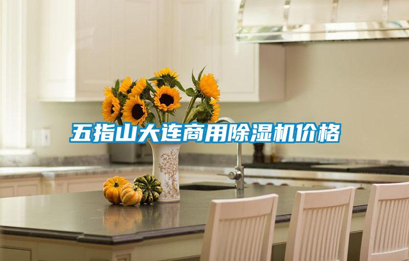 五指山大連商用除濕機價格