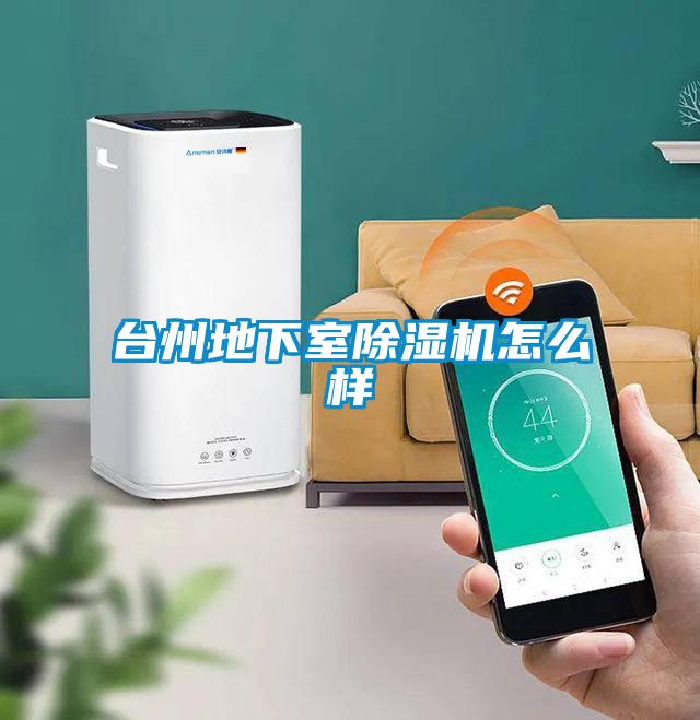 臺(tái)州地下室除濕機(jī)怎么樣