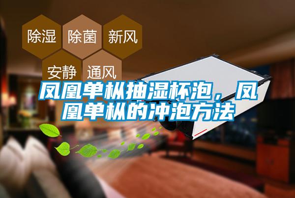 鳳凰單樅抽濕杯泡，鳳凰單樅的沖泡方法
