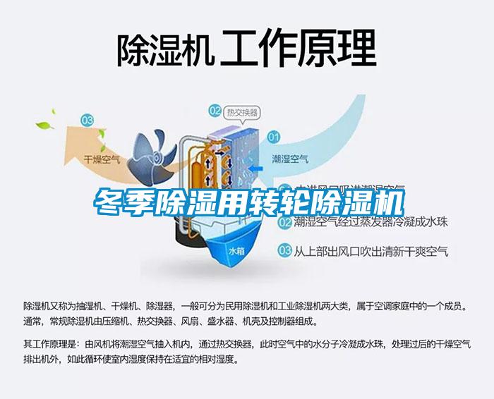 冬季除濕用轉(zhuǎn)輪除濕機