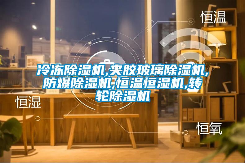 冷凍除濕機(jī),夾膠玻璃除濕機(jī),防爆除濕機(jī),恒溫恒濕機(jī),轉(zhuǎn)輪除濕機(jī)