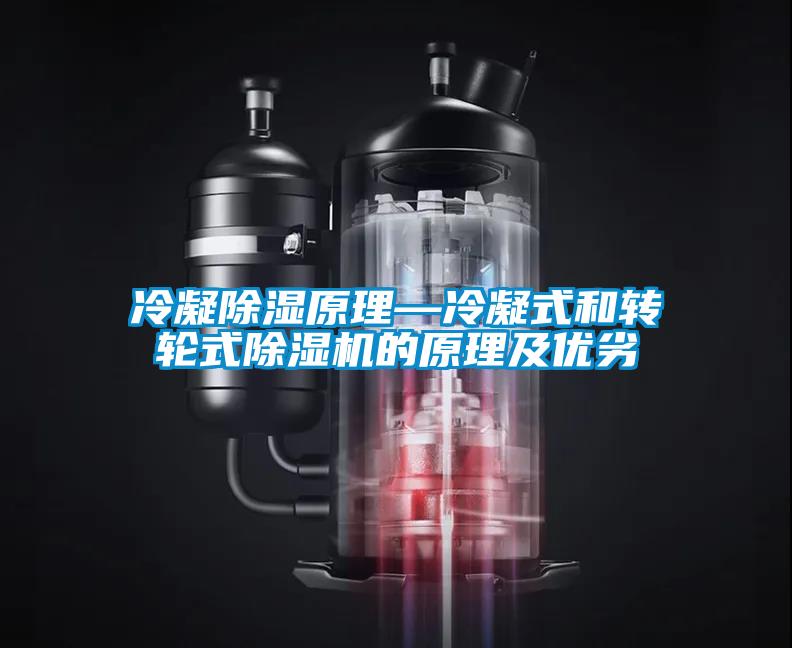 冷凝除濕原理—冷凝式和轉(zhuǎn)輪式除濕機(jī)的原理及優(yōu)劣