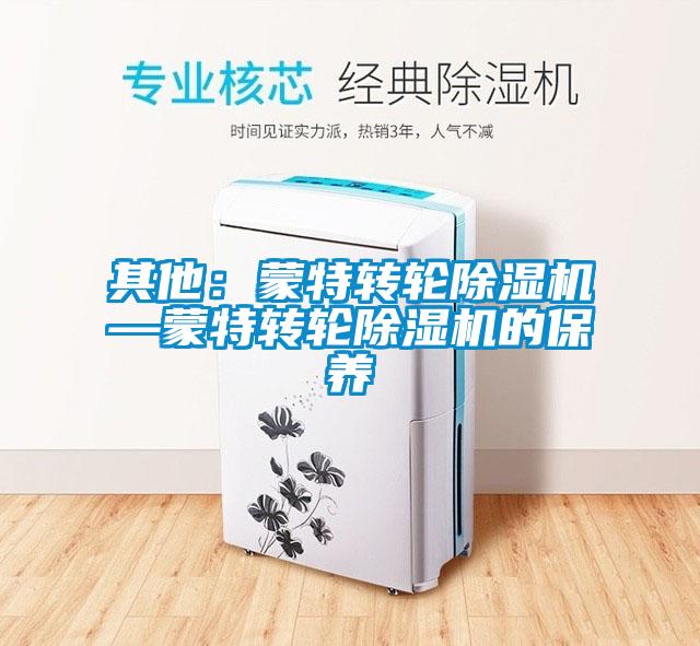 其他：蒙特轉(zhuǎn)輪除濕機—蒙特轉(zhuǎn)輪除濕機的保養(yǎng)