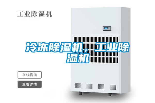 冷凍除濕機，工業(yè)除濕機