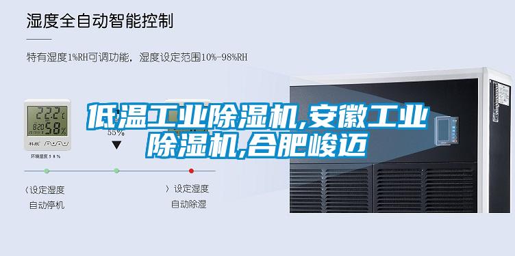低溫工業(yè)除濕機(jī),安徽工業(yè)除濕機(jī),合肥峻邁