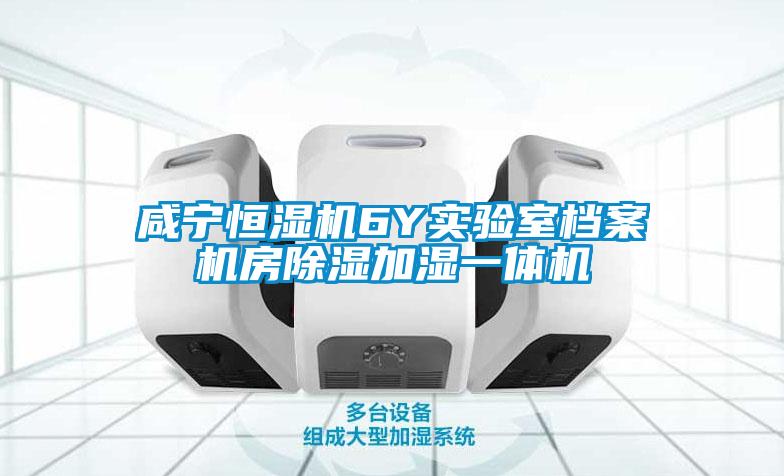 咸寧恒濕機6Y實驗室檔案機房除濕加濕一體機