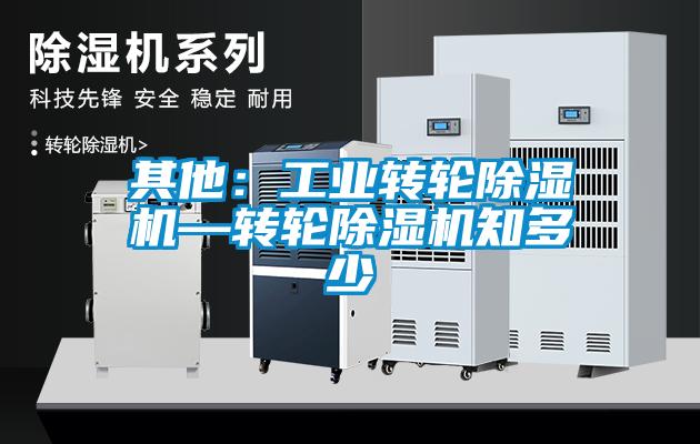 其他：工業(yè)轉(zhuǎn)輪除濕機—轉(zhuǎn)輪除濕機知多少
