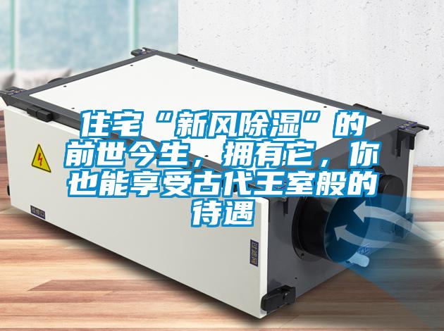 住宅“新風(fēng)除濕”的前世今生，擁有它，你也能享受古代王室般的待遇