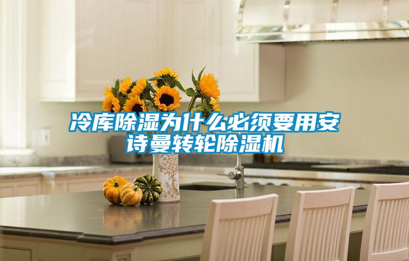 冷庫(kù)除濕為什么必須要用安詩(shī)曼轉(zhuǎn)輪除濕機(jī)