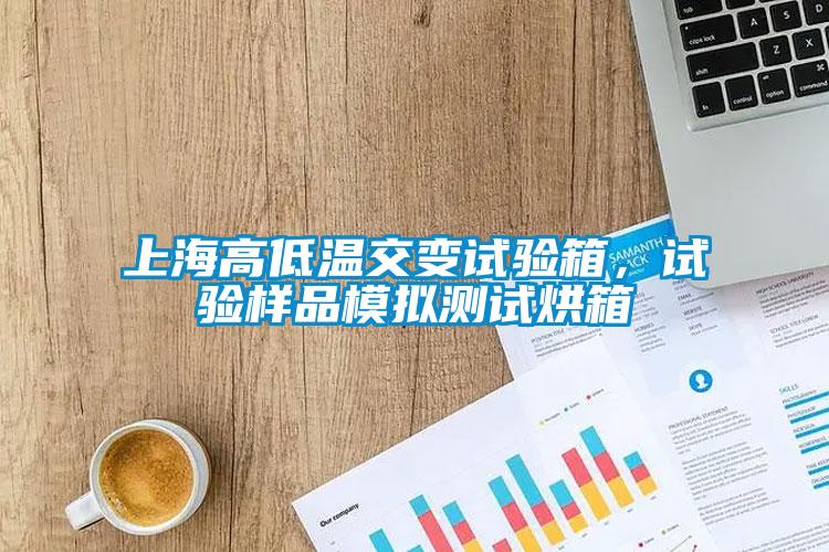 上海高低溫交變?cè)囼?yàn)箱，試驗(yàn)樣品模擬測(cè)試烘箱