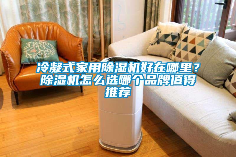 冷凝式家用除濕機(jī)好在哪里？除濕機(jī)怎么選哪個品牌值得推薦