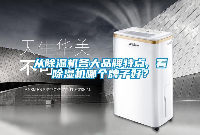 從除濕機(jī)各大品牌特點(diǎn), 看除濕機(jī)哪個(gè)牌子好？