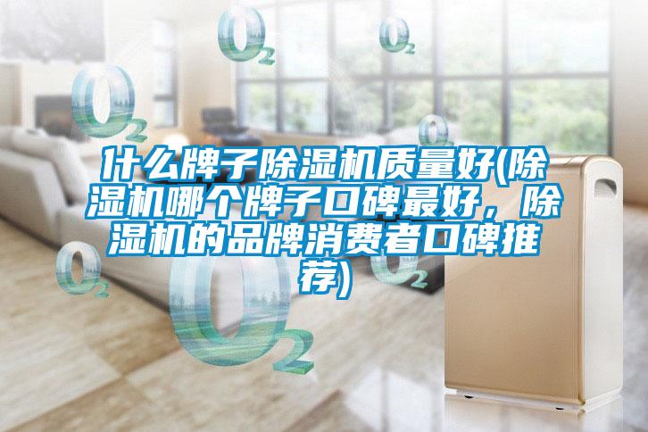 什么牌子除濕機質(zhì)量好(除濕機哪個牌子口碑最好，除濕機的品牌消費者口碑推薦)