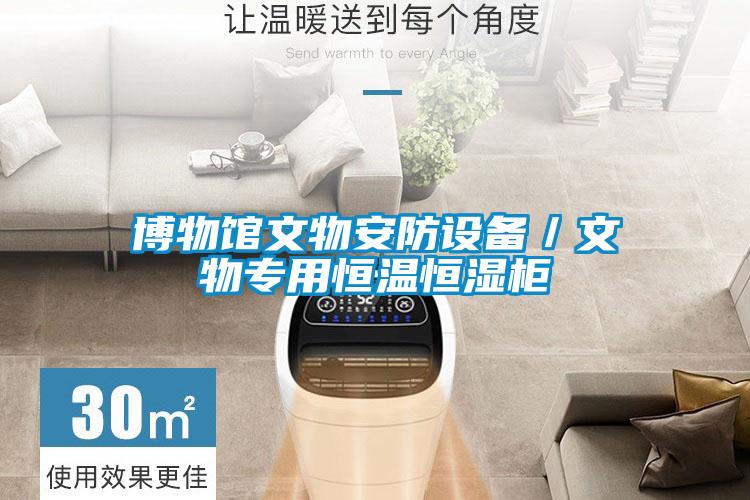 博物館文物安防設(shè)備／文物專用恒溫恒濕柜