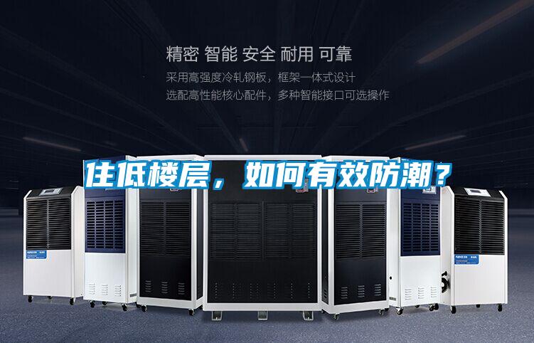住低樓層，如何有效防潮？