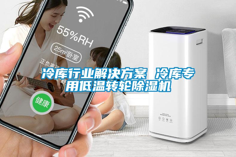 冷庫行業(yè)解決方案 冷庫專用低溫轉輪除濕機