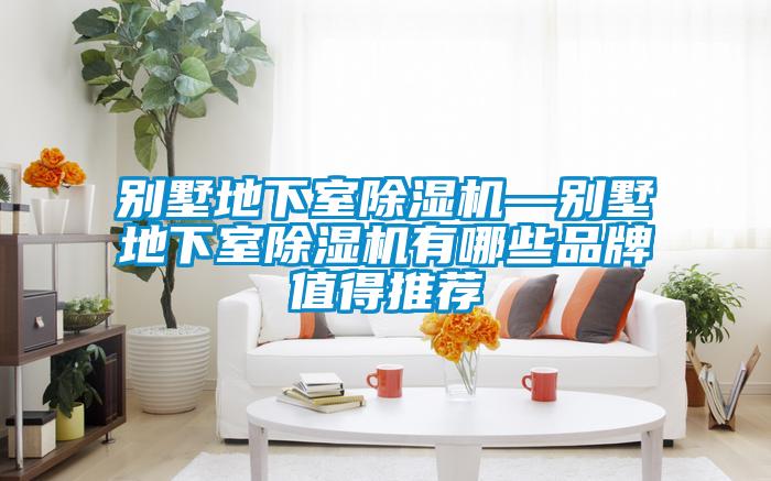 別墅地下室除濕機(jī)—?jiǎng)e墅地下室除濕機(jī)有哪些品牌值得推薦