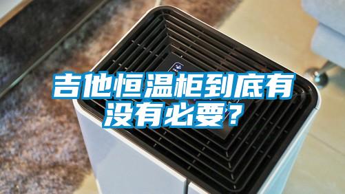 吉他恒溫柜到底有沒有必要？