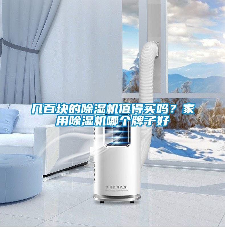 幾百塊的除濕機(jī)值得買嗎？家用除濕機(jī)哪個牌子好
