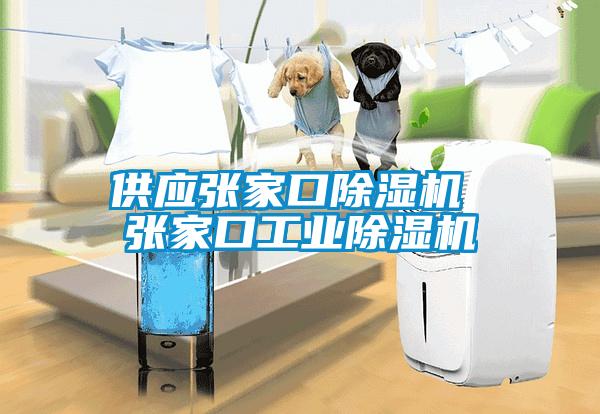 供應張家口除濕機 張家口工業(yè)除濕機