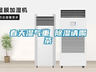 企業(yè)新聞春天濕氣重 除濕請(qǐng)喝茶