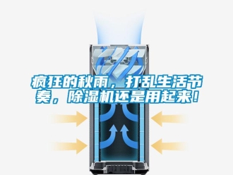 企業(yè)新聞瘋狂的秋雨，打亂生活節(jié)奏，除濕機(jī)還是用起來(lái)！