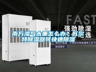 行業(yè)新聞南方濕氣太重怎么辦？瓦爾特除濕器可快速除濕