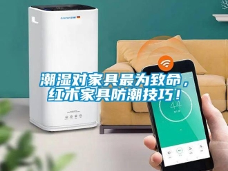 企業(yè)新聞潮濕對家具最為致命，紅木家具防潮技巧！