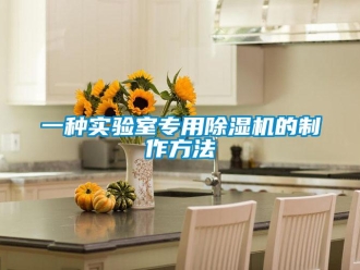 行業(yè)新聞一種實(shí)驗(yàn)室專用除濕機(jī)的制作方法