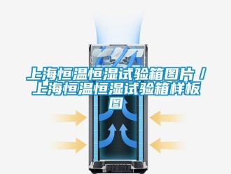 知識百科上海恒溫恒濕試驗(yàn)箱圖片／上海恒溫恒濕試驗(yàn)箱樣板圖
