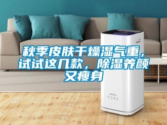 行業(yè)新聞秋季皮膚干燥濕氣重，試試這幾款，除濕養(yǎng)顏又瘦身