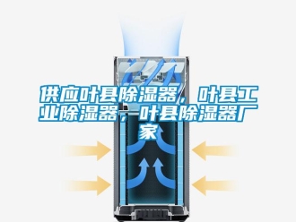 行業(yè)新聞供應(yīng)葉縣除濕器，葉縣工業(yè)除濕器，葉縣除濕器廠家
