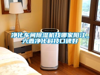 企業(yè)新聞凈化車間除濕機(jī)找哪家陽(yáng)江_六鑫凈化科技口碑好
