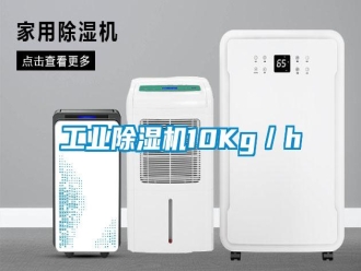 企業(yè)新聞工業(yè)除濕機(jī)10Kg／h