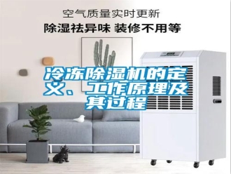 行業(yè)新聞冷凍除濕機的定義、工作原理及其過程
