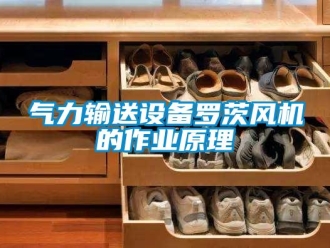 行業(yè)新聞氣力輸送設(shè)備羅茨風(fēng)機的作業(yè)原理