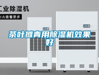 企業(yè)新聞茶葉攤青用除濕機(jī)效果好