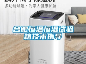 知識百科合肥恒溫恒濕試驗(yàn)箱技術(shù)指導(dǎo)