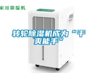 知識百科轉(zhuǎn)輪除濕機(jī)成為“干爽能手”