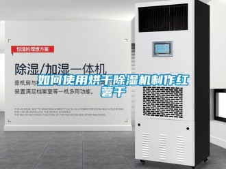 常見(jiàn)問(wèn)題如何使用烘干除濕機(jī)制作紅薯干