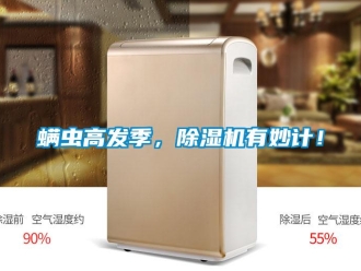 行業(yè)新聞螨蟲高發(fā)季，除濕機(jī)有妙計！