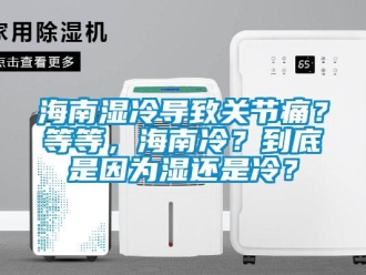 行業(yè)新聞海南濕冷導(dǎo)致關(guān)節(jié)痛？等等，海南冷？到底是因?yàn)闈襁€是冷？