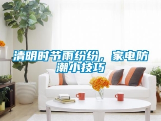 行業(yè)新聞清明時(shí)節(jié)雨紛紛，家電防潮小技巧