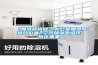 【加濕器擺放】辦公室加濕器擺放位置 空氣加濕器應該放在哪里