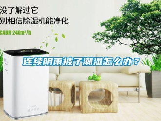 常見問題連續(xù)陰雨被子潮濕怎么辦？
