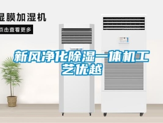 知識(shí)百科新風(fēng)凈化除濕一體機(jī)工藝優(yōu)越